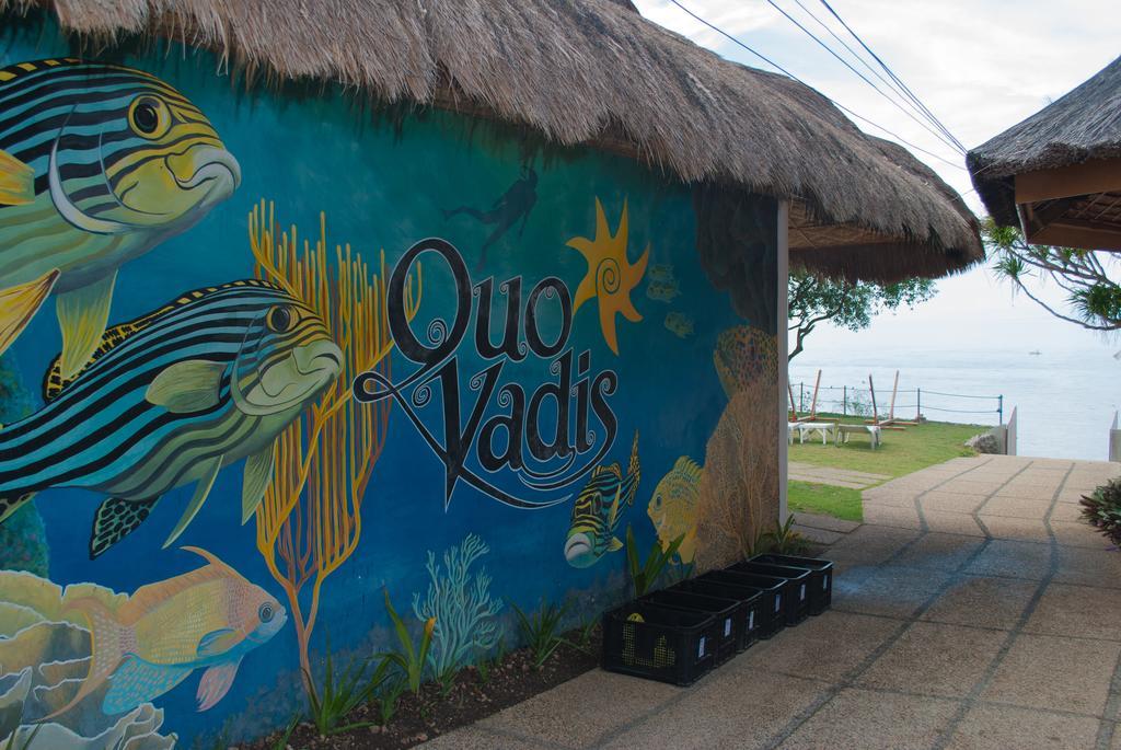 Quo Vadis Dive Resort Moalboal Exteriér fotografie